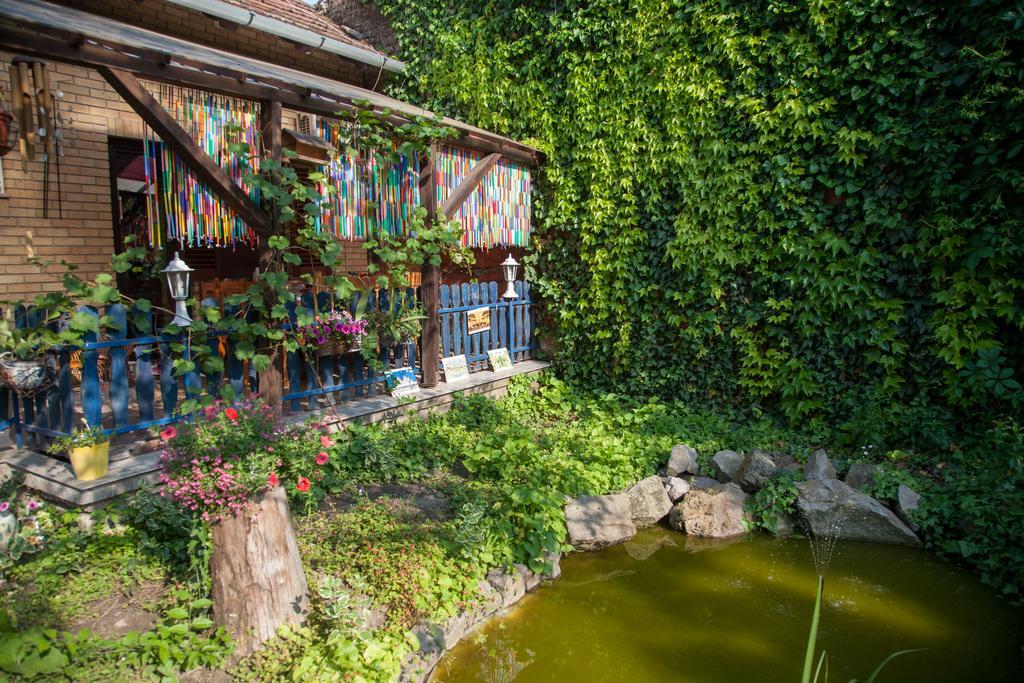 Medeno Srce Villa Палич Екстериор снимка