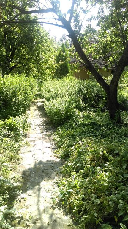 Medeno Srce Villa Палич Екстериор снимка