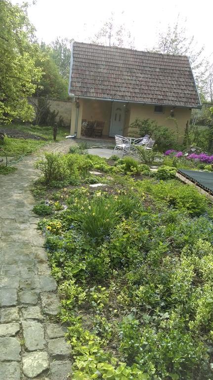 Medeno Srce Villa Палич Екстериор снимка